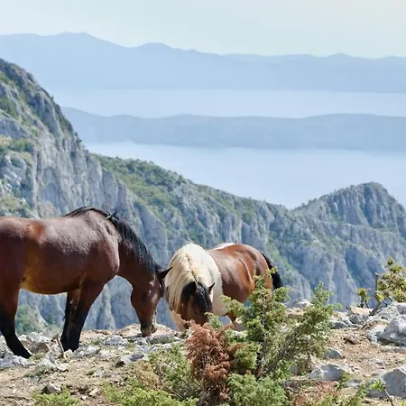 In With Sea View, Balcony, Air Conditioning, Wifi 4492-4 *